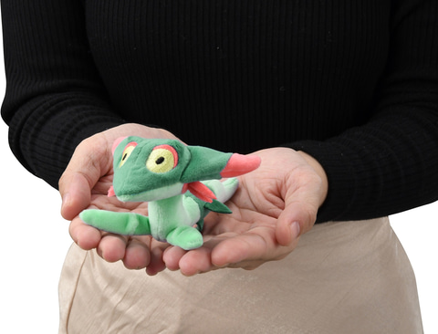 全長約100cmのワンギミックぬいぐるみ！「ポケモンぬいぐるみ ド