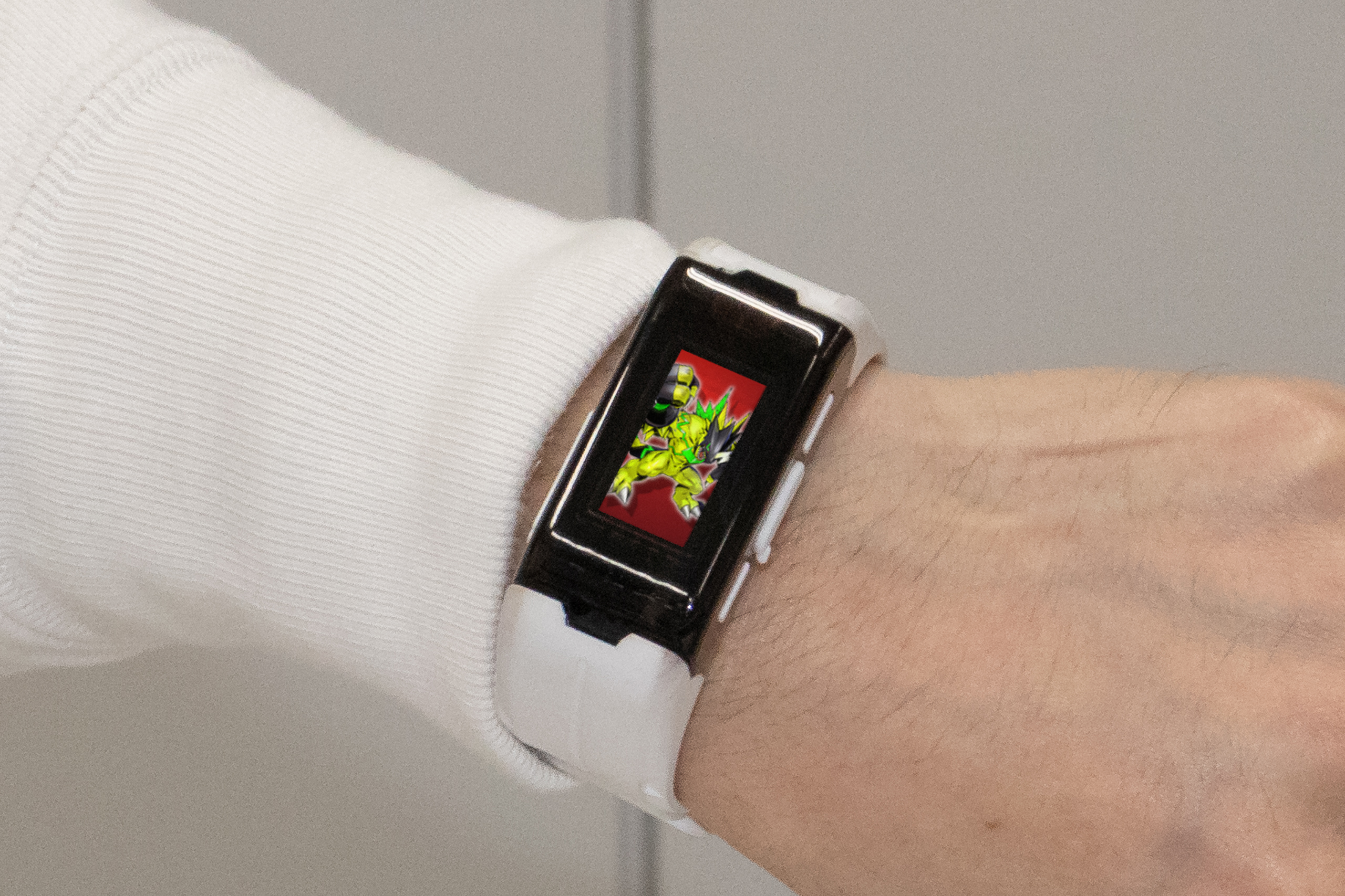 敵との遭遇演出で対戦相手のデジモンが表示。演出と絵を見れば相手の成長段階が分かる仕様