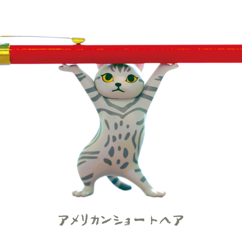 アメリカンショートヘア