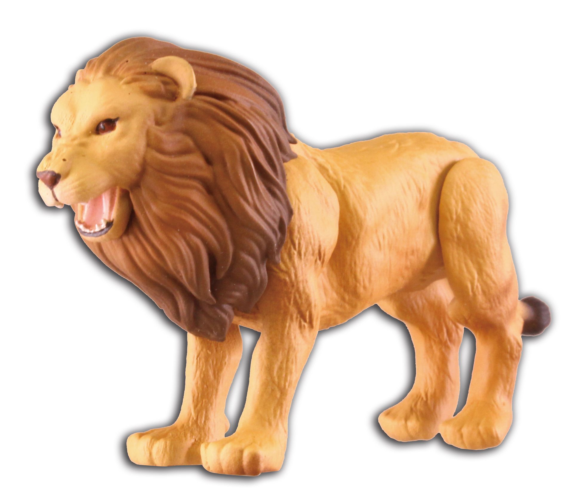 頭、口、足、尾が可動する