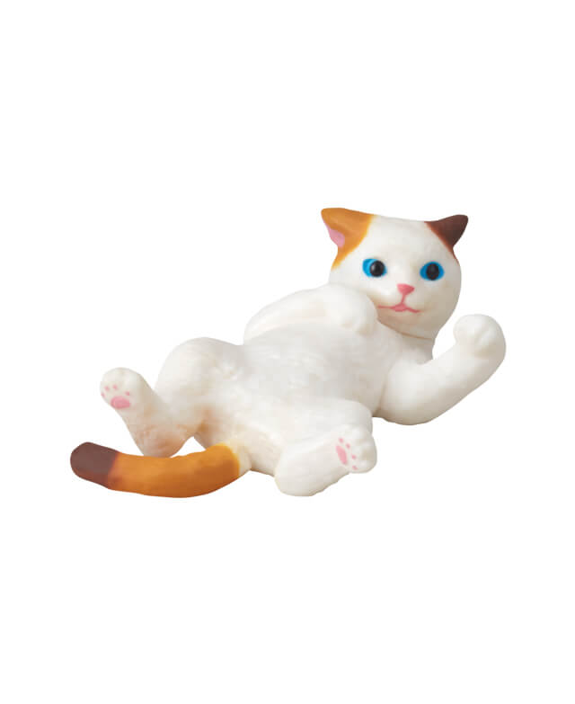 三毛猫(仰向け)