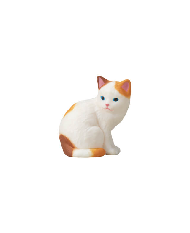 飛び三毛(子猫)