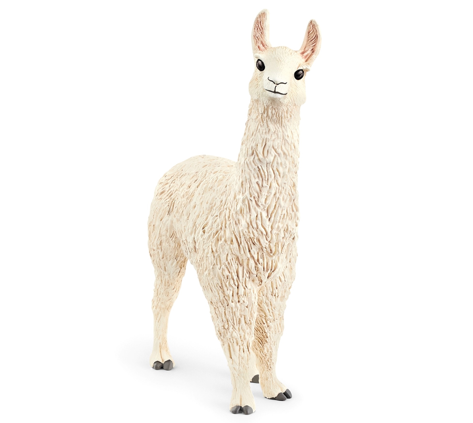 ラマ　価格：858円（税込）