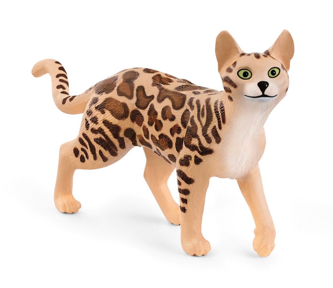 ベンガル　価格：638円（税込）