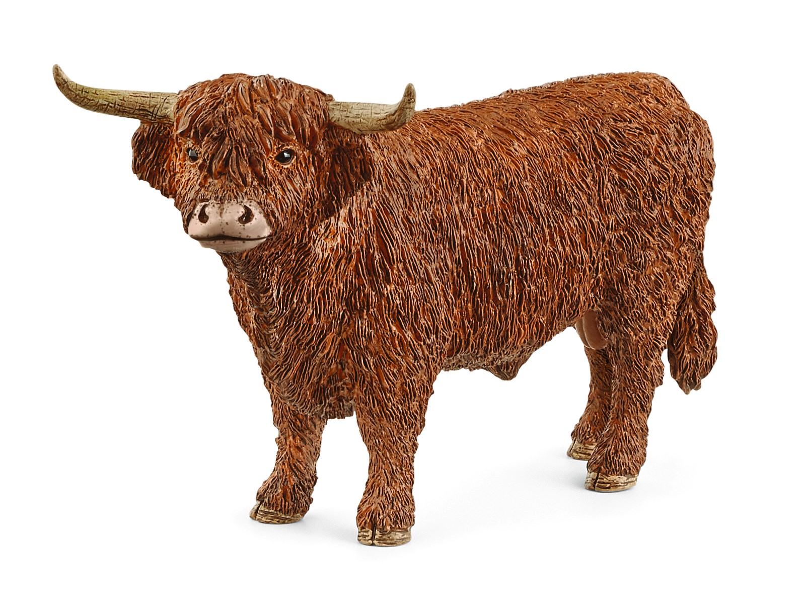 ハイランド牛　価格：1,298円（税込）