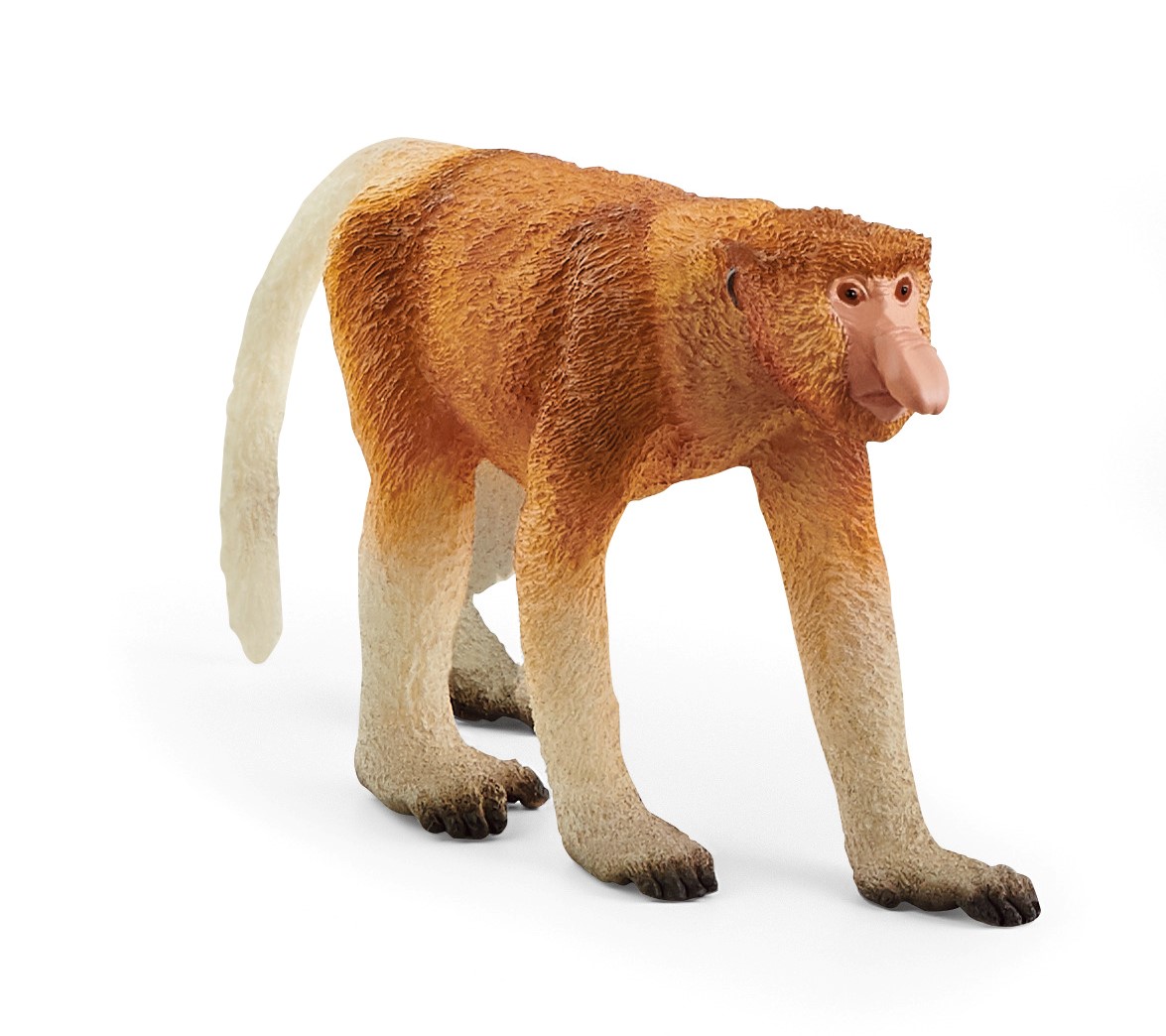 テングザル　価格：1,078円（税込）