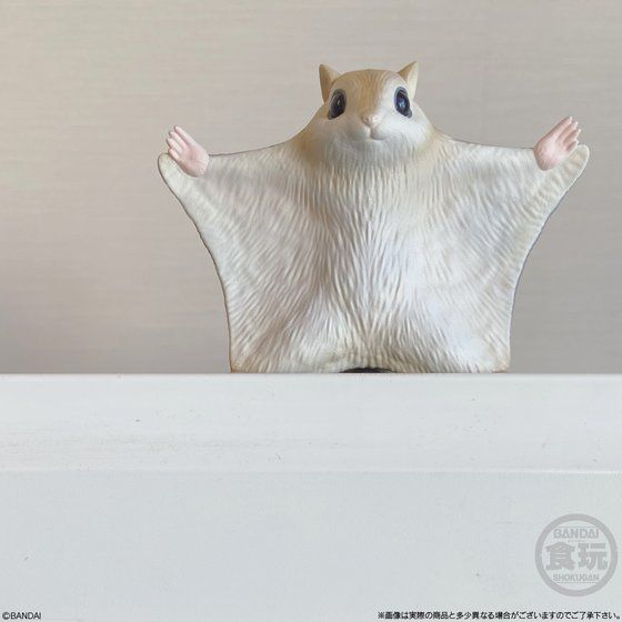 画像はイメージです