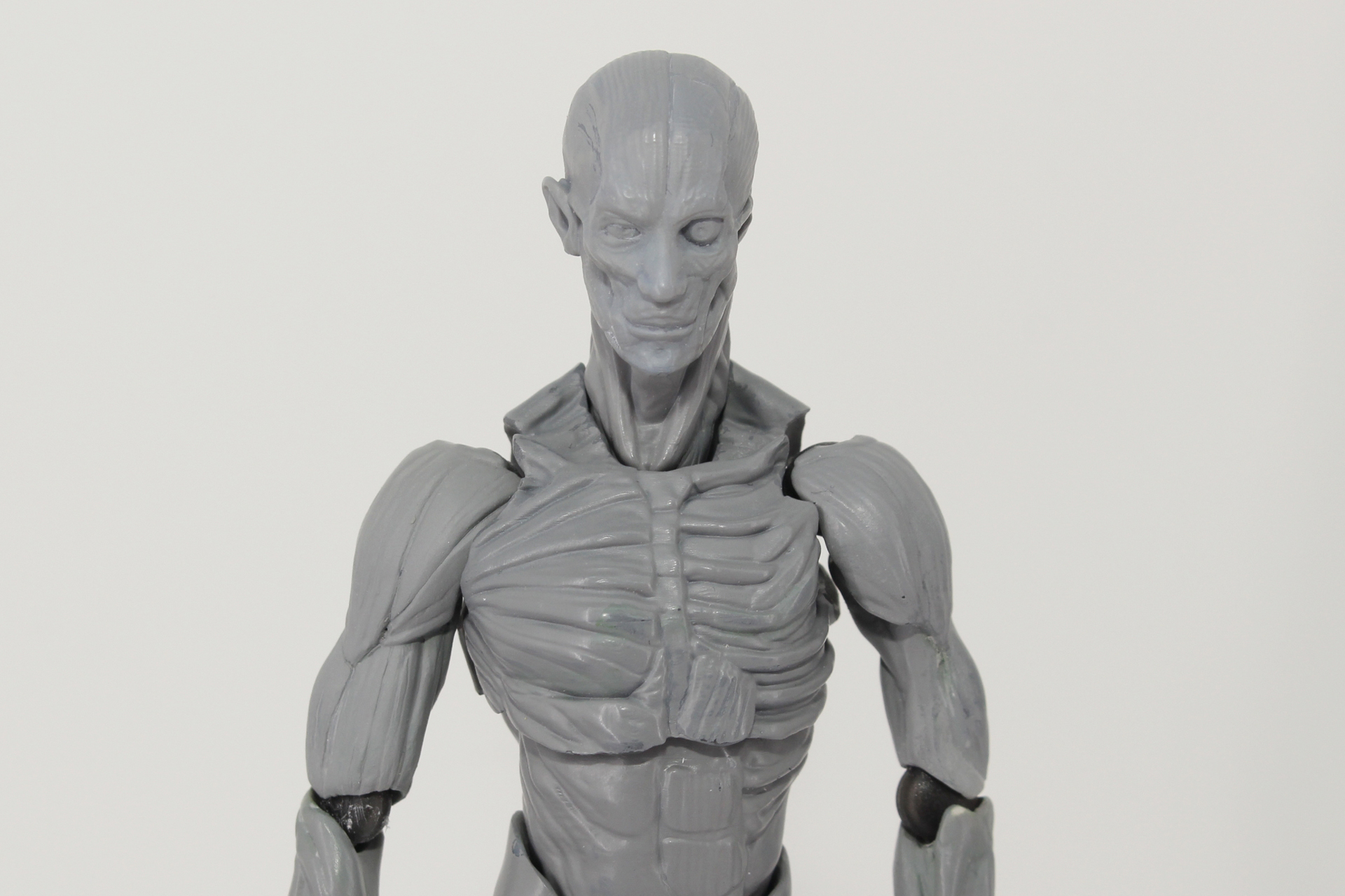 左右半身が異なる設計となっている。早く彩色されたところを見てみたい