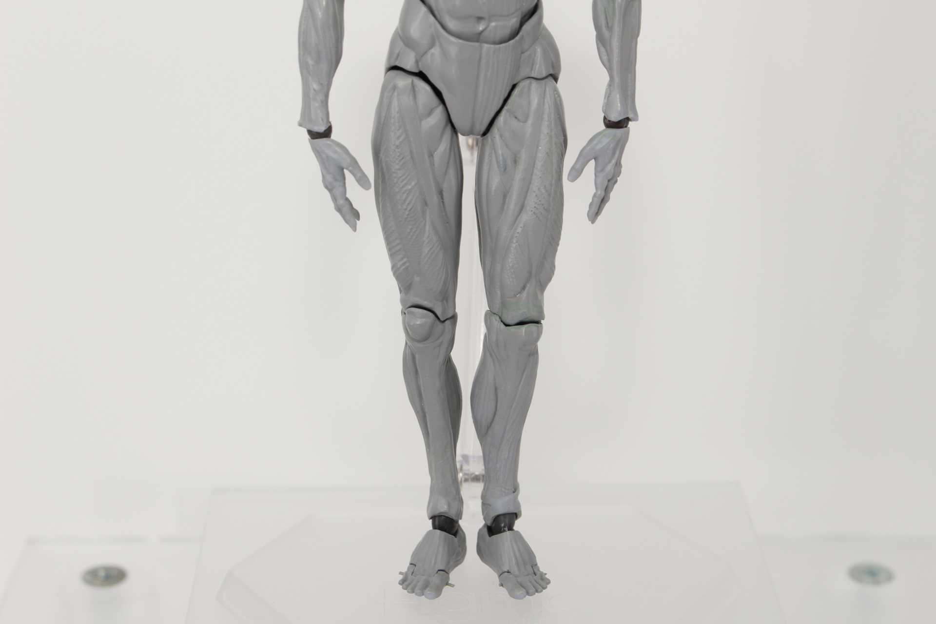 人体模型ながら、つま先まで可動する設計になっている