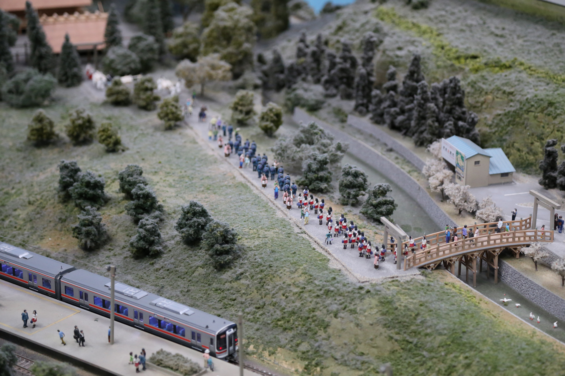 伊勢神宮に修学旅行生の行列