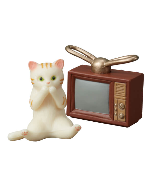 テレビ（赤茶）と茶トラ猫