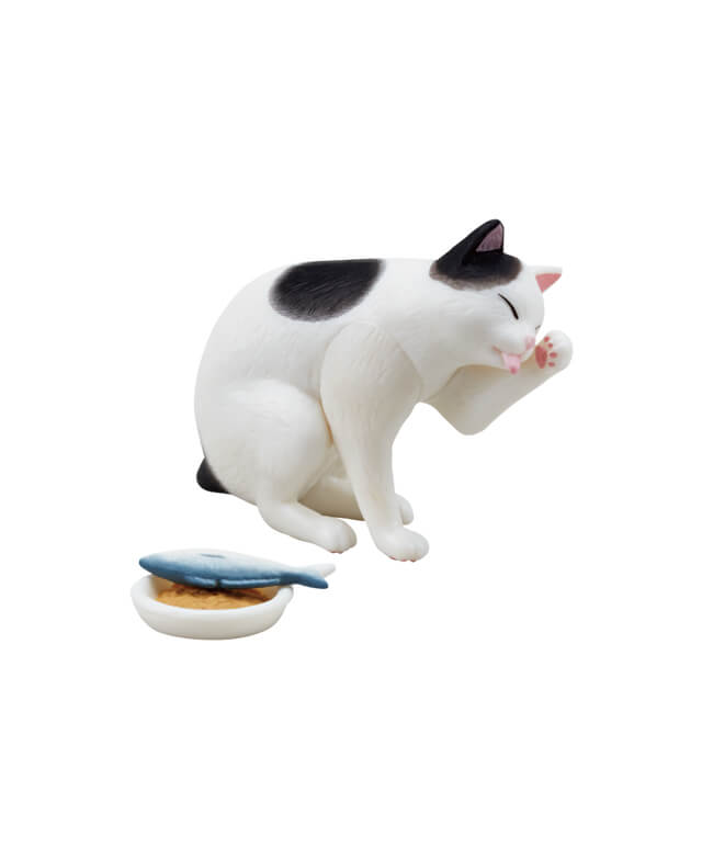 ごはんより毛づくろいに夢中な猫