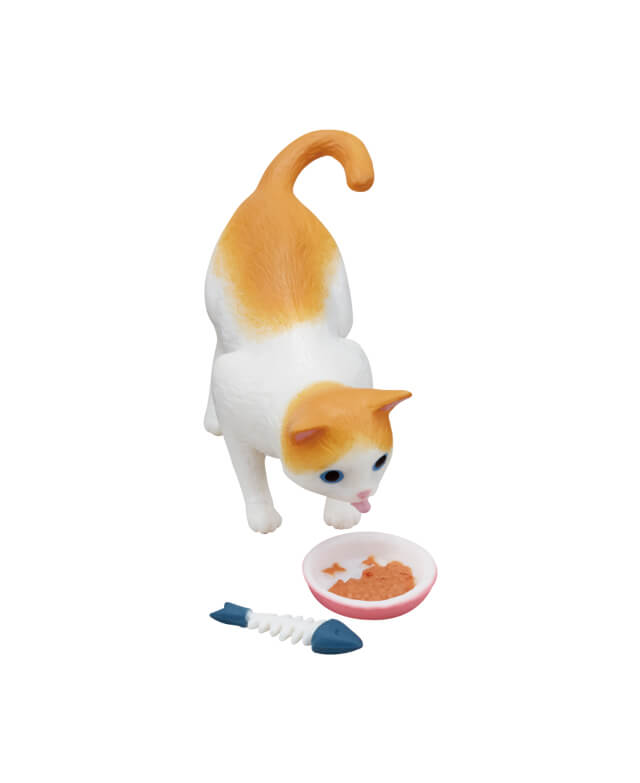 まずはお魚から食べる猫