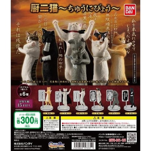 妄想と思い込みの世界に生きる猫達「厨二猫（ちゅうにびょう）」の