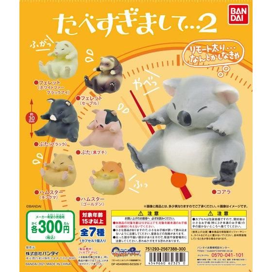 フェレット（ホワイトファーブラックアイ）