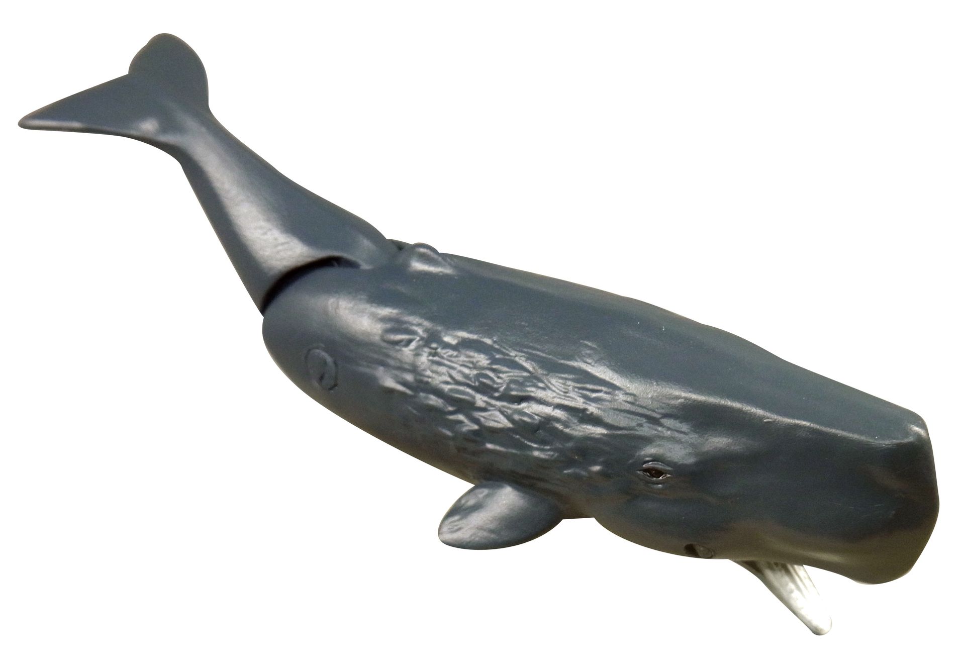 ギミック：口が開き、尾ビレが動く/サイズ：約80mm