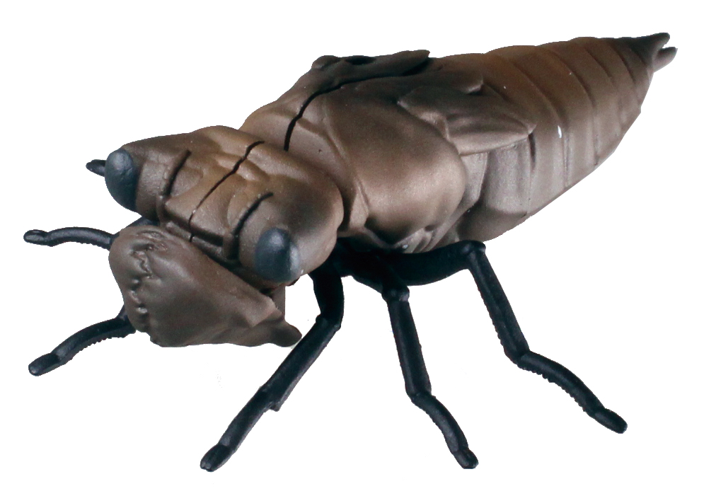 オニヤンマのヤゴ