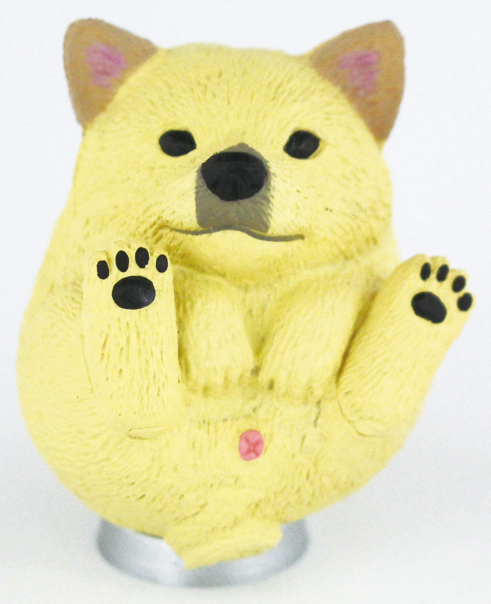 北海道犬