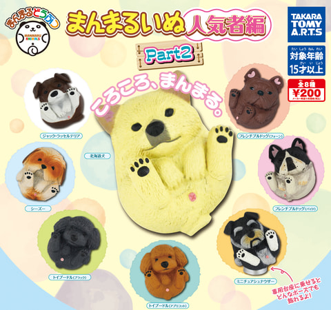 ♯Jsi20DJ　まんまるどうぶつ　まんまるいぬやんちゃ編人気3種 ♯Jsi20DJ まんまるどうぶつ まんまるいぬやんちゃ編人気3種 ♯Jsi20DJ