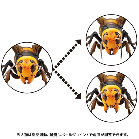 宙を舞う最凶昆虫！ フィギュア「REVO GEO オオスズメバチ」9月18日に