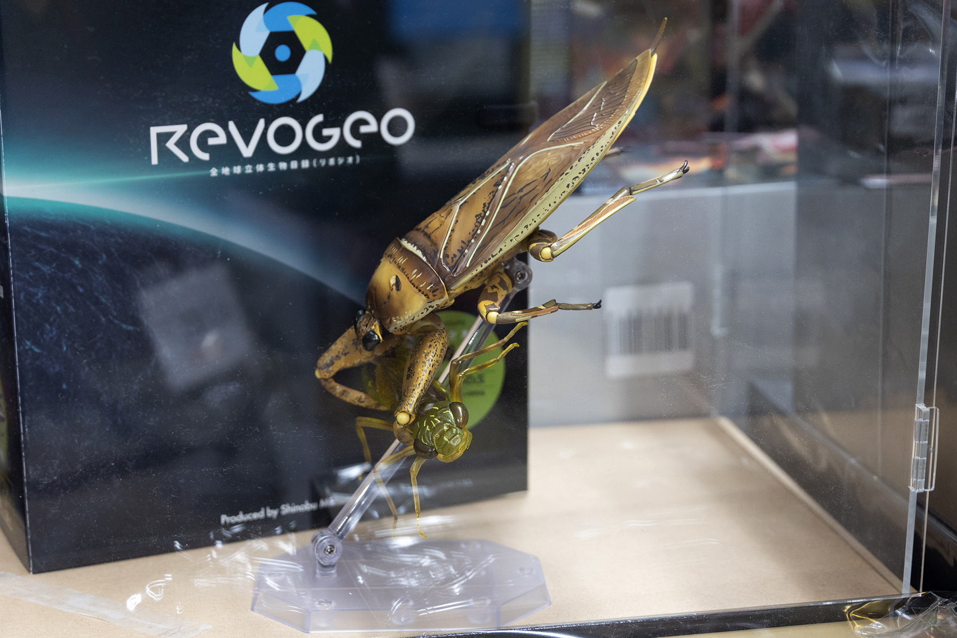 ひとつの商品でふたつの生物フィギュアが付いてくるのは、なかなかお得!?