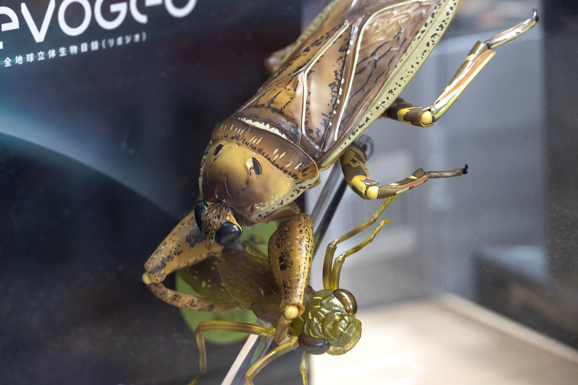 まるで水槽にいる生物を撮影したかのようなリアルさだ