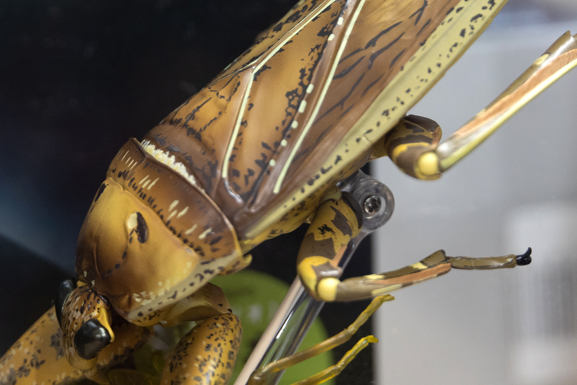 造形と彩色の両方の素晴らしさが融合している