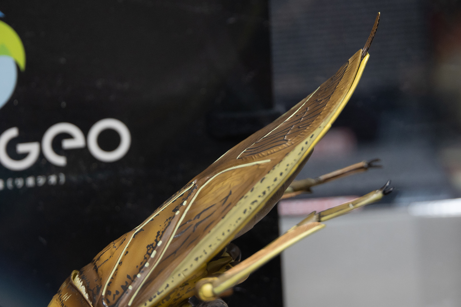 獲物を捕らえるときに、お尻を突き上げるような独特なポーズもしっかり再現されている