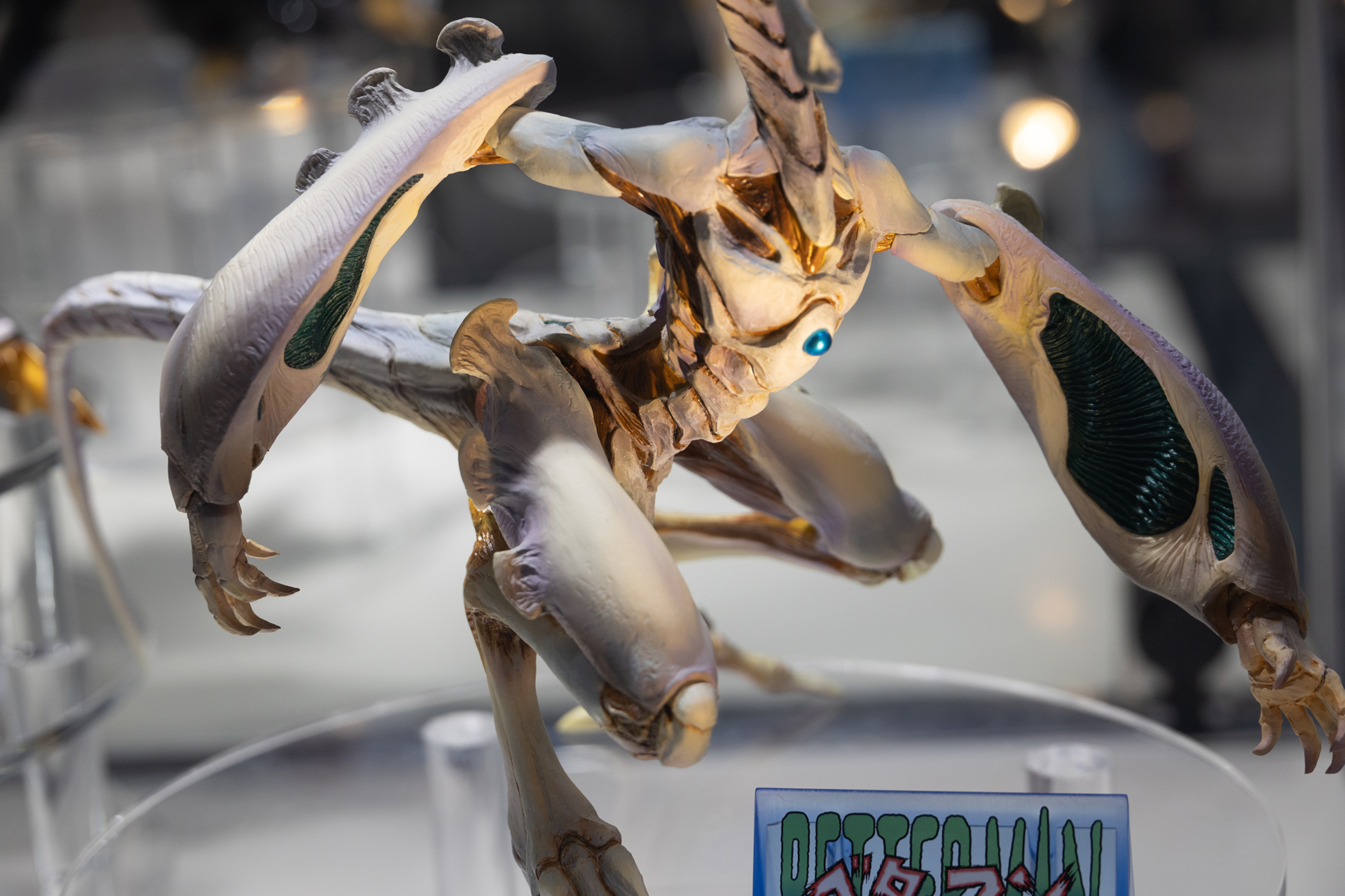 シワも含めて、造形の複雑さについつい見とれてしまう