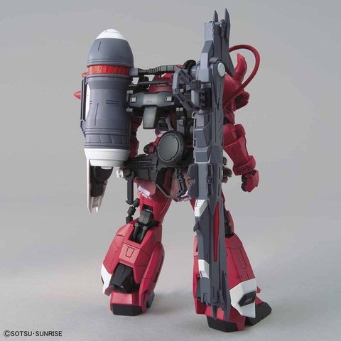 【ガンプラ！】バンダイ ＭＧ ガナーザクウォーリアルナマリア機 MG 1/100 ガナーザクウォーリア（ルナマリア・ホーク専用機