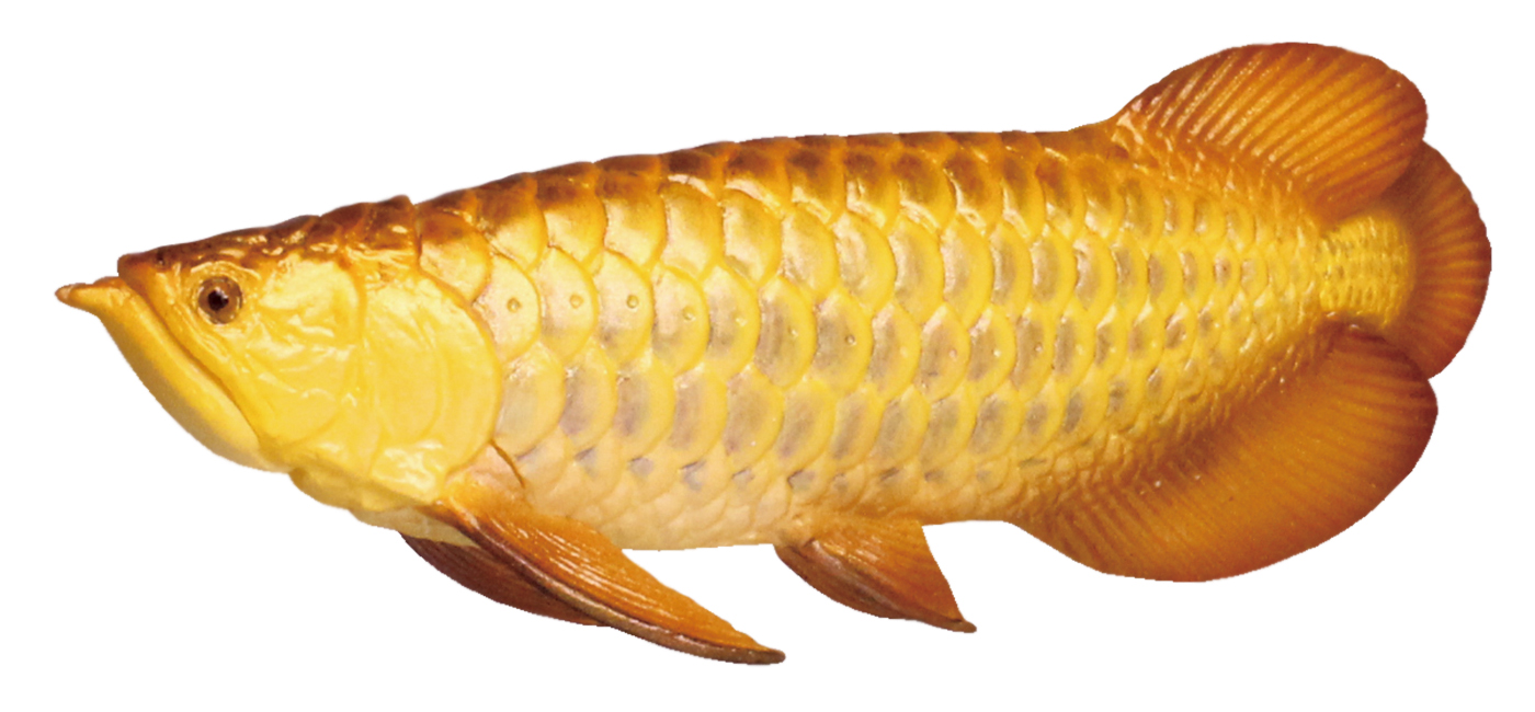 口を開けると、なんとそこには子供が！