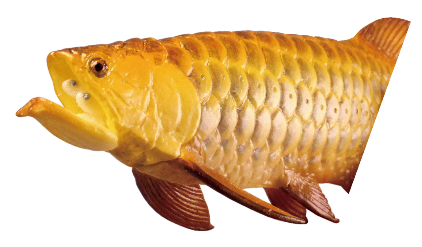 口を開けると、なんとそこには子供が！