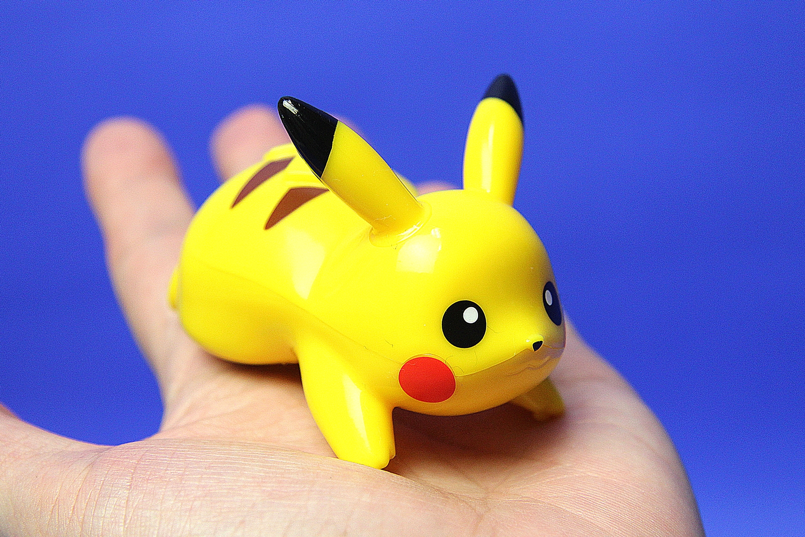 手の平に収まるサイズ感