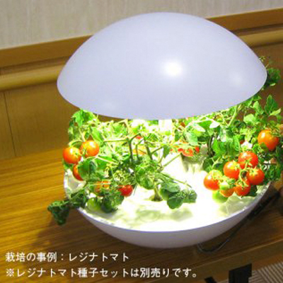 楽天スーパーセールで「LED 水耕栽培 キット Akarina01」が半額