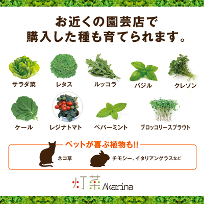 楽天スーパーセールで「LED 水耕栽培 キット Akarina01」が半額