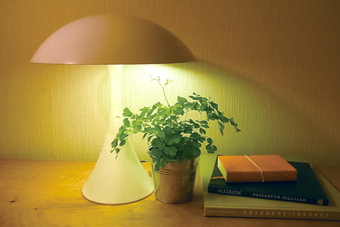 楽天スーパーセールで「LED 水耕栽培 キット Akarina01」が半額
