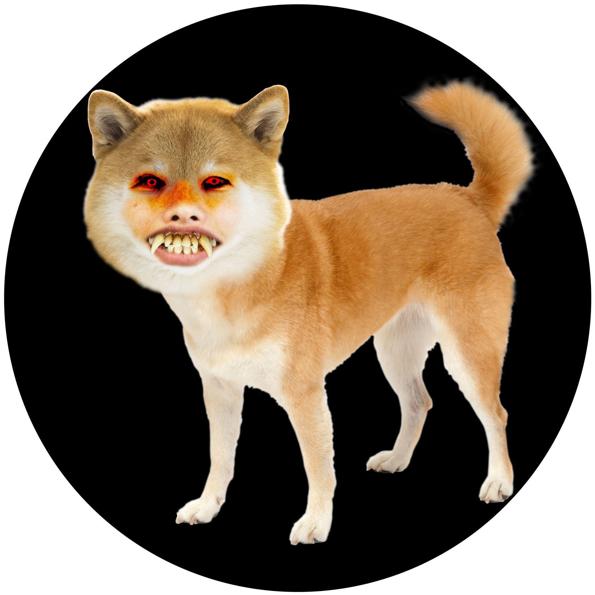 第五十苦話 人面犬