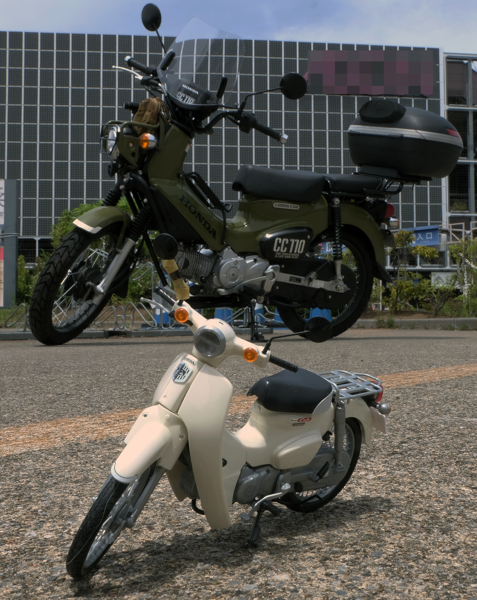 今回製作した「1/12 NEXTシリーズNo.1 EX-2 ホンダ スーパーカブ110（クラシカルホワイト）」と、筆者が乗っている「クロスカブ　110」