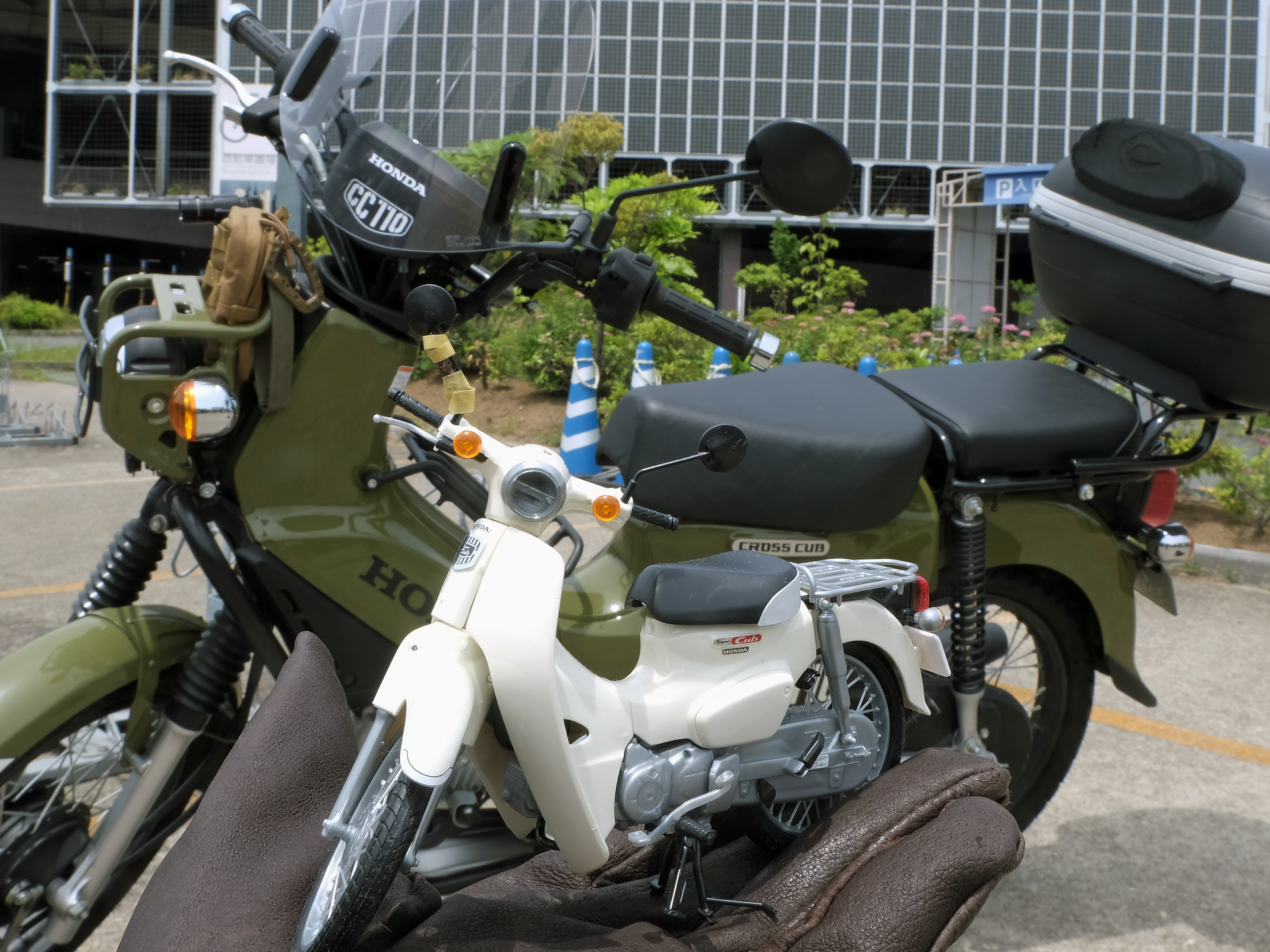 今回製作した「1/12 NEXTシリーズNo.1 EX-2 ホンダ スーパーカブ110（クラシカルホワイト）」と、筆者が乗っている「クロスカブ　110」