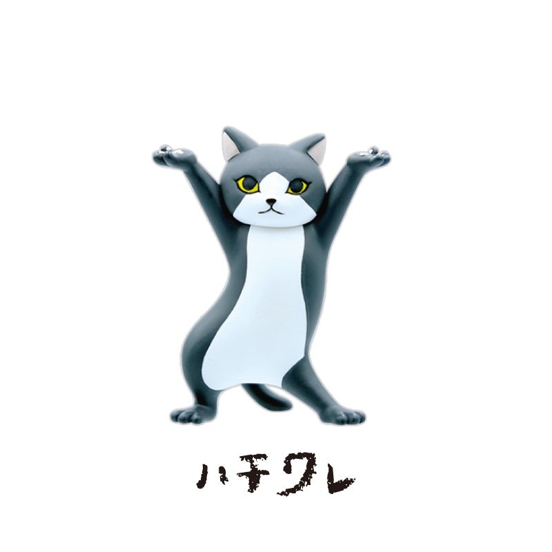 ハチワレ