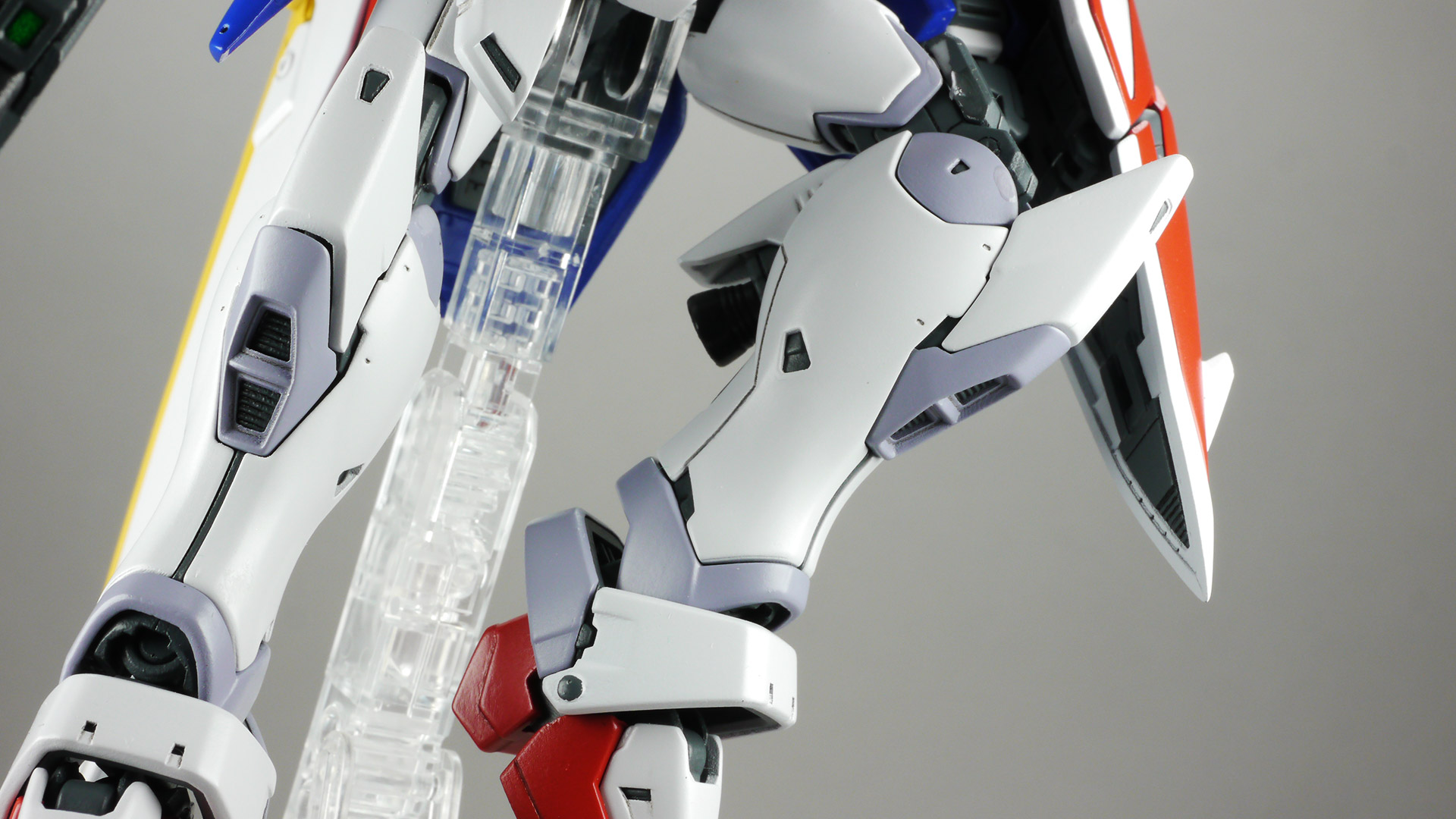 肉感的でもあり抑揚のある脚のラインが今回特にすばらしいシェイプだと感じました