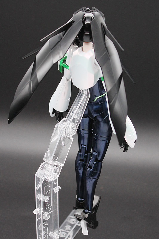 後ろから見れば、髪の毛の艶とボディの艶の両方を楽しめます