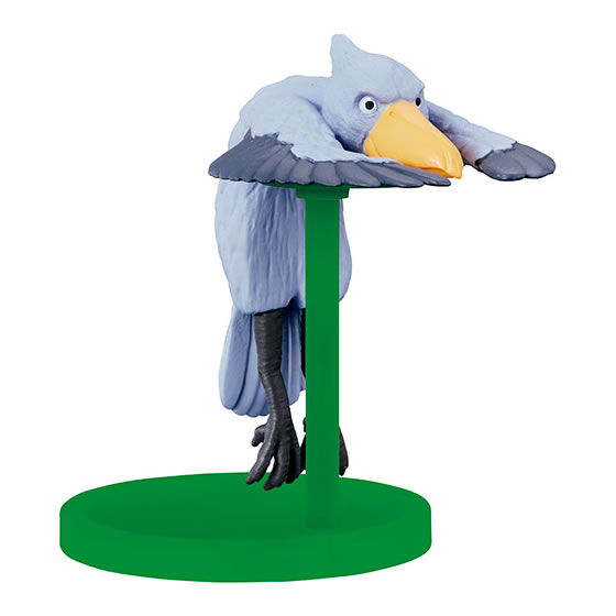 ハシビロコウ