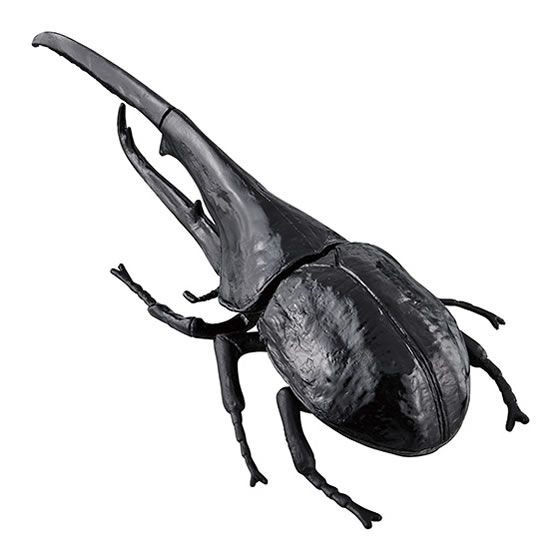 ヘラクレスオオカブトB