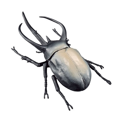 エレファスゾウカブト新登場！ ガシャポン「ビッグサイズ 世界の昆虫