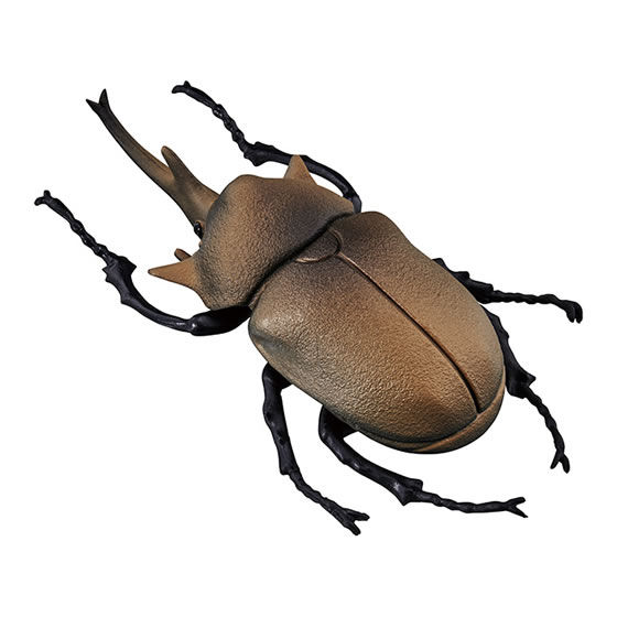 エレファスゾウカブト