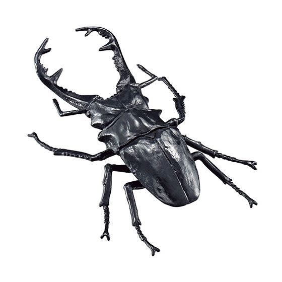 ギラファノコギリクワガタ