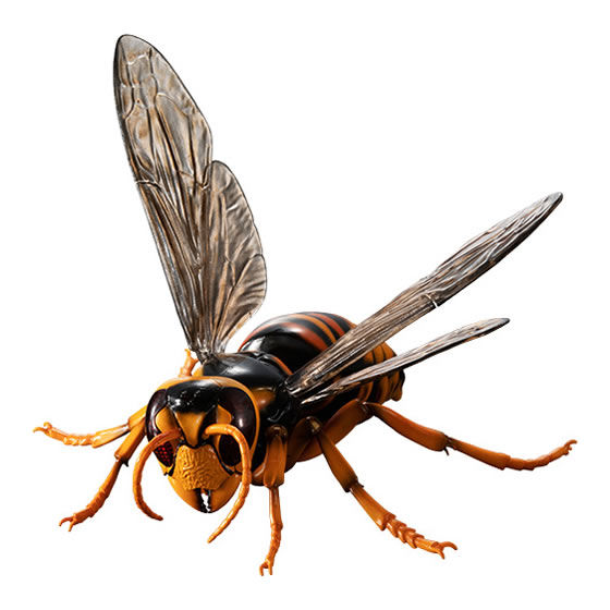 キイロスズメバチ