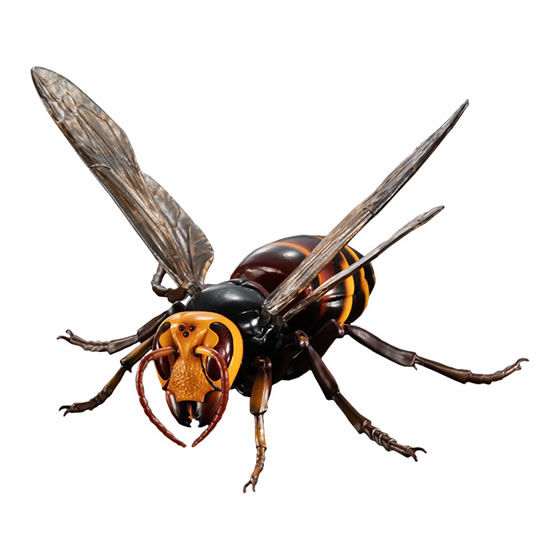 ヒメスズメバチ