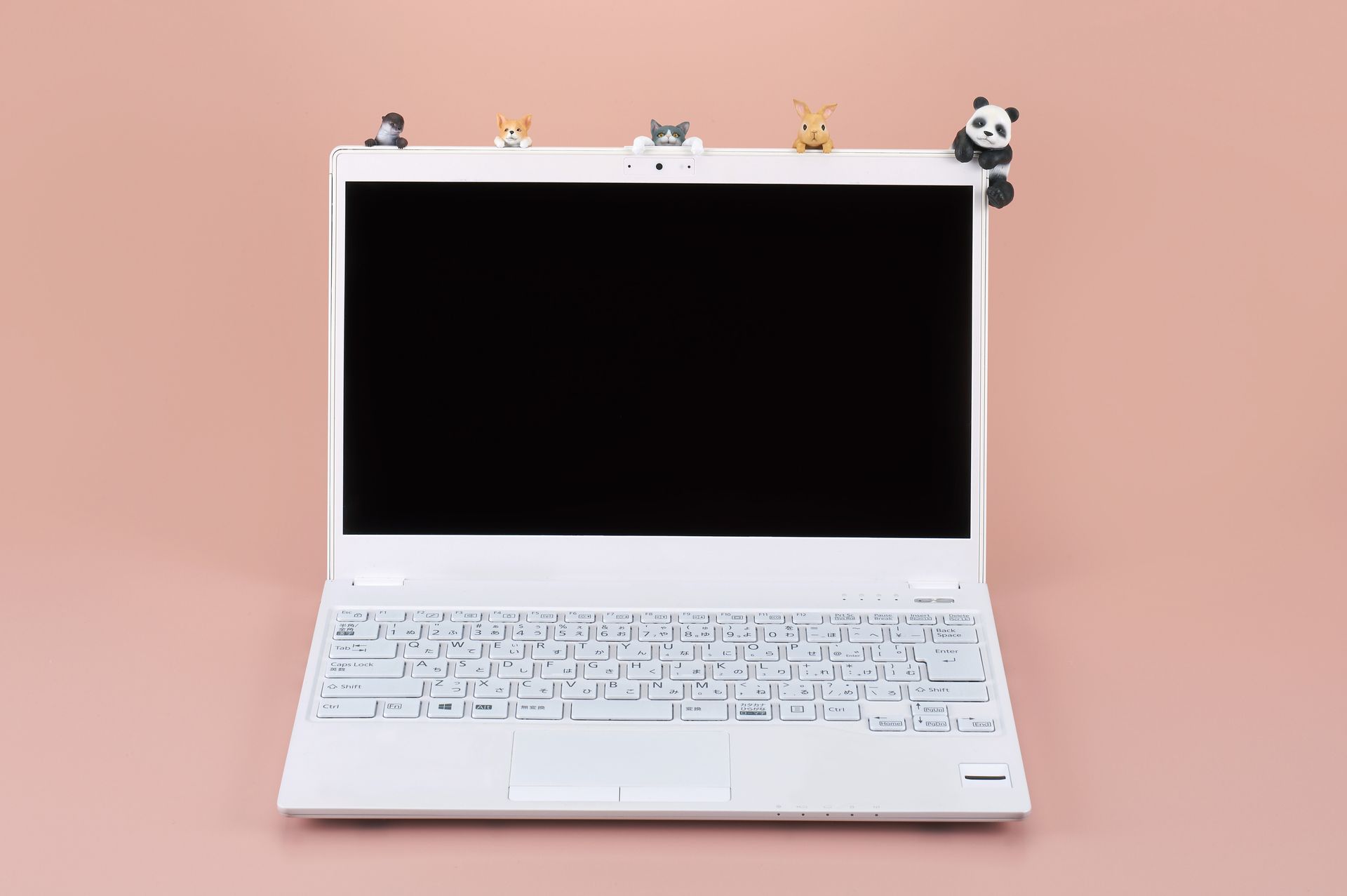 ひょっこり覗く姿に癒やされる！